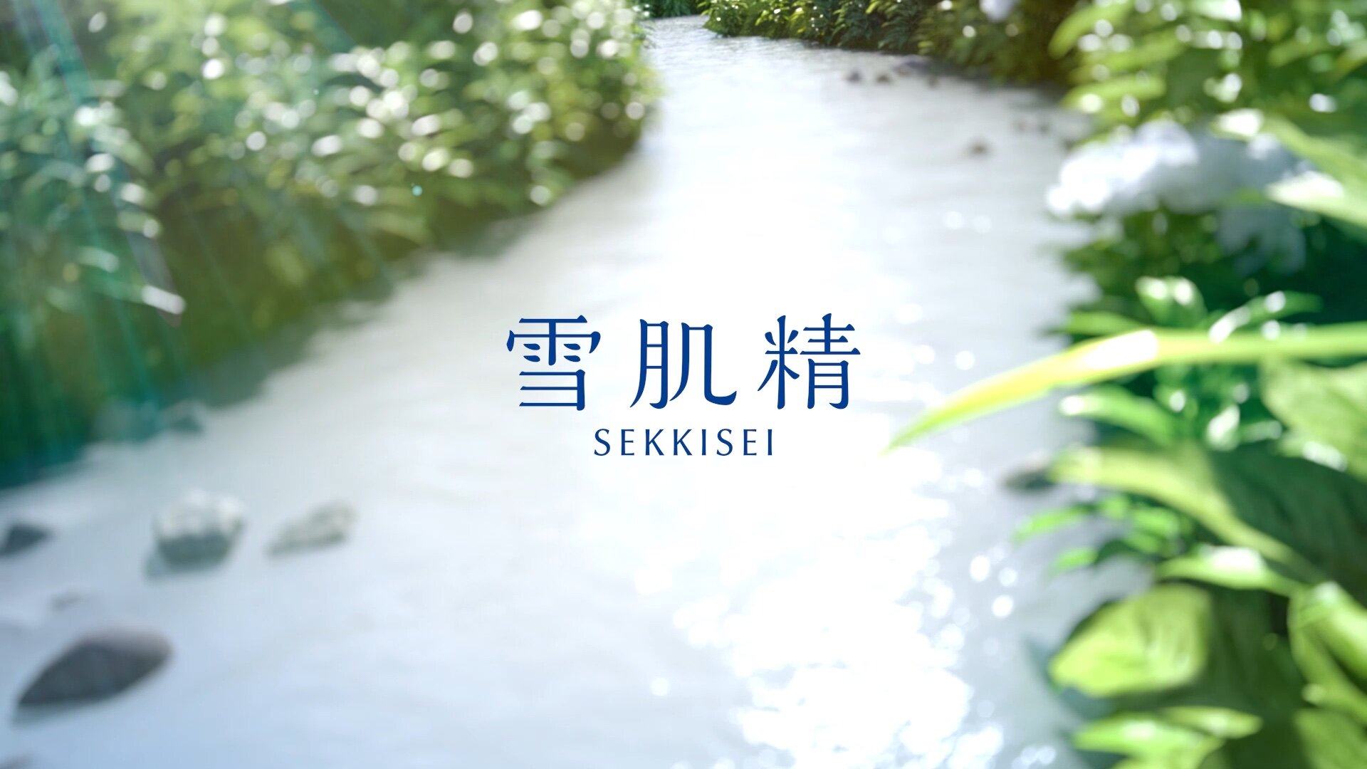 <p>SEKKISEI<br />
Brand Movie</p>